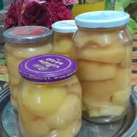 محصولات خانگی ،کمپوت،مربا