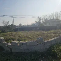 فروش-زمین-در-ماسال-شاندرمن
