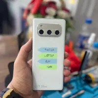 داریا باند۱