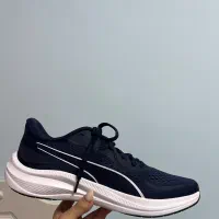 کتونی اورجینال نو|کیف، کفش، کمربند|بهشهر, |دیوار