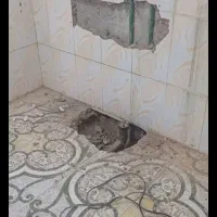 بازسازی ساختمان