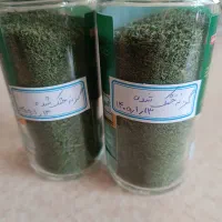گزنه خشک وپودرشده امسال