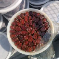 خرما کبکاب و خاصویی بهبهان عمده و جزعی|خوردنی و آشامیدنی|شاهینشهر, بوستان حافظ|دیوار