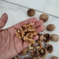 گردو پوست نازک وکاغذی|خوردنی و آشامیدنی|قم, سید معصوم|دیوار