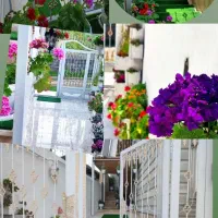 ویلاتالش|اجارهٔ کوتاه‌مدت آپارتمان و سوئیت|لیسار, |دیوار