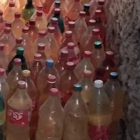 بطری دوغ نوشابه