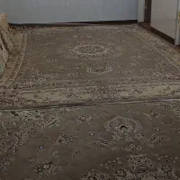فرش ۱۲متری گردویی
