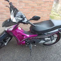 سحر RD۱۳۵  خشک ۱۴۰۳