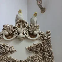 عروس هلندی دستی وسخن گو