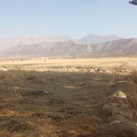 بنای صفر تا صد ساختمان هستم