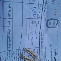 گوشواره