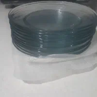 دو دست پلو خوری