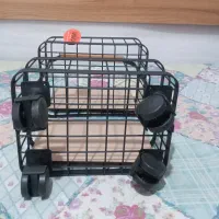 جای سیب زمینی و پیاز