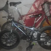 دوعدد دوچرخه حرفه ای