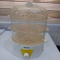 بخار پز نو سالم