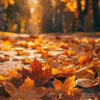 راهنمایی کار در منزل