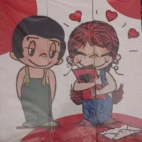 قاب ام دی اف ۳تکه