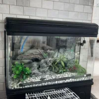 آکواریوم شیشه خم شرکتی