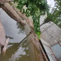 باغچه و ویلایی برا پروزش دام و طیور