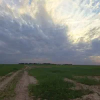 زمین کشاورزی دیم