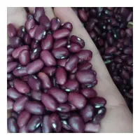 دهکده حبوبات زاینده رود