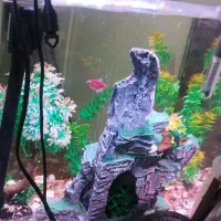 فروش اکواریوم با تجهیزات