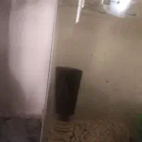 آکواریوم شیشه خم شرکتی|ماهی|خرم‌آباد, |دیوار