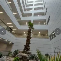 دپارتمان سلیمی/۱۳۰متری/برج ستاره/زیرقیمت منطقه|فروش آپارتمان|فردیس, فردیس|دیوار