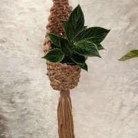 آویز گلدان مکرومه بافی