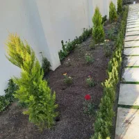 خدمات باغبانی باغچه کاری کاشت گل وگیا درسراسر کرج