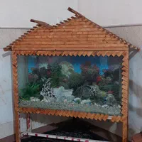 اکواریوم کلبه ای|ماهی|قم, نخودی|دیوار
