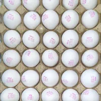 پخش مویرگی و عمده تخممرغ تازه و با کیفیت|خوردنی و آشامیدنی|تهران, مشیریه|دیوار