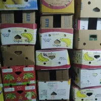 کارتن موزی. در اتاق.کلیدوپریز.لوستر