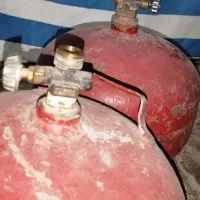 پیک نیک  سالم. کفش در حد نو|کیف، کفش، کمربند|شیراز, شهرک گلشن|دیوار