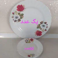 چینی زرین|ظروف سرو و پذیرایی|شهرکرد, |دیوار