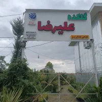 باغبانی ، درختکاری و طراحی فضای سبز