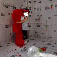 خرس|اسباب و اثاث بچه|هشتگرد, شهرک ریحانه|دیوار