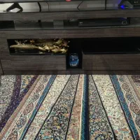 میز تلویزیون جدید باز  هم میشه