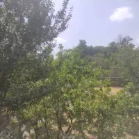 باغ ویلافروشی300متر نغندرطرقبه70متر بنا اب برق سند