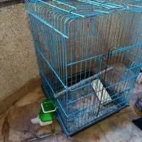 قفس پرنده بزرگ