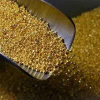طلای رایگان کمتر از دو دقیقه
