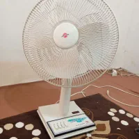 فروشی پنگ سالم