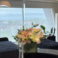 دعوت به همکاری در آکادمی تخصصی عسل اصغری