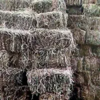 علف بسته بندی