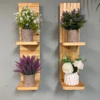 استندگل وگیاه و شلف های زیبا TAK