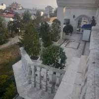 یاس هلندی  بزرگ با گلدون|گل و گیاه طبیعی|عباس‌آباد, |دیوار