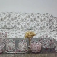 ظروف ناتاشا