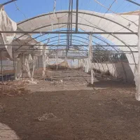 فروش سازه گلخانه