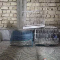 ۶ عدد قفس معاوضه