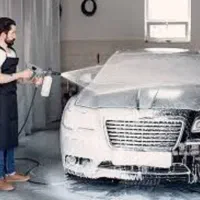 نیروی کار در کارواش